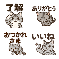 Cute American Shorthair Cat Emojis!