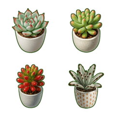 ไม้อวบน้ำปุ๊กลุก ชุดที่ 1