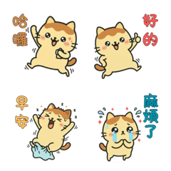 貓咪職場生活：誇張一下！