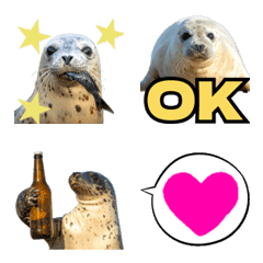 Soft Spotted Seal Action Collection