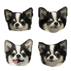 もちょちょ愛してる。1