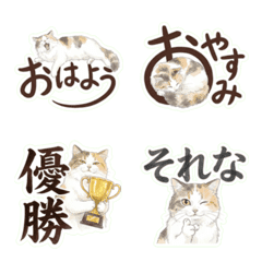 Fluffy Cute Minuet Cat Emoji