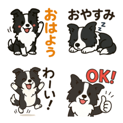 Cute Border Collie : Daily Emojis
