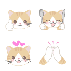 Orange tabby and white cat emoji