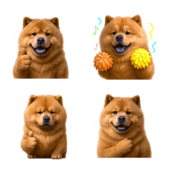 好用！鬆獅犬表情貼