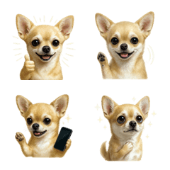 好用！吉娃娃表情貼