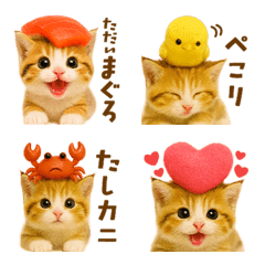 ずっと使える子ねこ絵文字