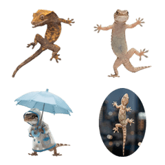 Gecko & Kadal Realistis