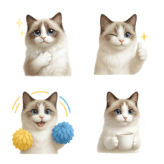 好用！布偶貓表情貼