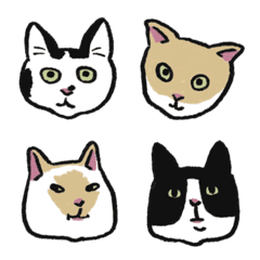 みんなのにゃんこ