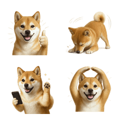 好用！豆柴表情符號