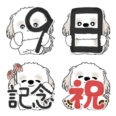 Shih tzu 2025 (for schedule)