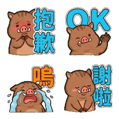 可愛小山豬★常用