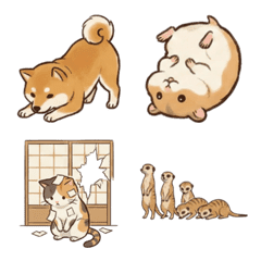 귀여운 동물들의 전력 도게자 2