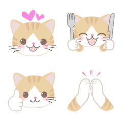 Orange Tabby and White