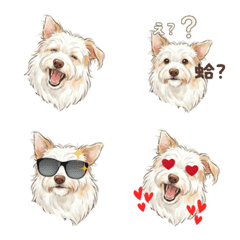 Yvonne的最棒小拉