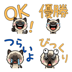 Anim. Overreaction Himalayan 4 Text