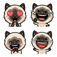 Anim. Overreaction Himalayan 2