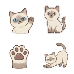 暹羅貓仔表情貼