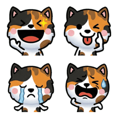 Overreaction Tortoiseshell Cat 1