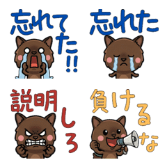 Anim. Overreaction Burmese Cat 4