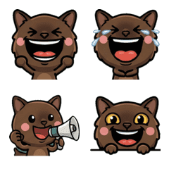 Anim. Overreaction Burmese Cat 2