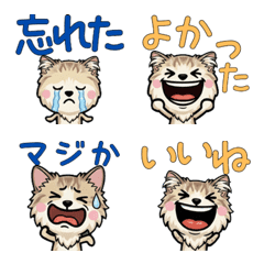 Anim. Overreaction Ragamuffin 4 Text