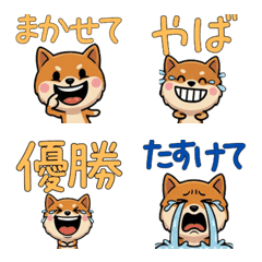 Anim. Overreaction Kishu Inu 4 Text