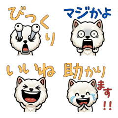 Overreaction White Shiba 3 Text