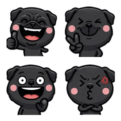 Overreaction Black Pug 1