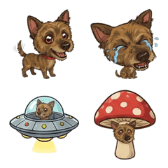 毎日使える！表情豊かな甲斐犬BENI絵文字