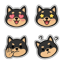 lack Shiba Inu: Daily Expressions