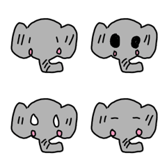 こうちゃんゾウ編