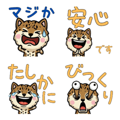 Anim. Overreaction Ocicat 4 Text