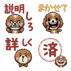 Anim. Overreaction Cockapoo 4 Text