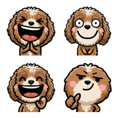 Anim. Overreaction Cockapoo 2