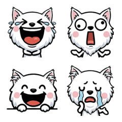 Overreaction Turkish Angora 1