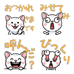 Anim. Overreaction Cornish Rex 4