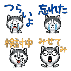 Anim. Overreaction Pomsky 4 Text