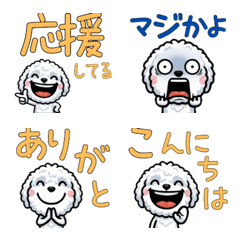 Anim. Overreaction Labradoodle 4