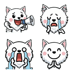 Anim. Overreaction Turkish Angora 2