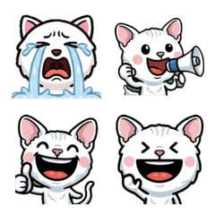 Anim. Overreaction Cornish Rex 2