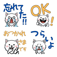 Anim. Overreaction Turkish Angora 4