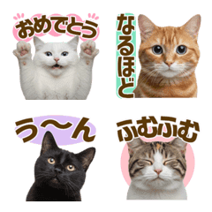 Great All Year Round! cats