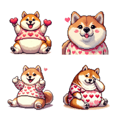 気持ちを伝えるラブリーふとっちょ柴犬