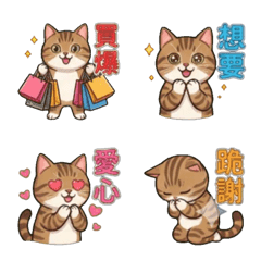 Healing Tabby Cat: Your Daily Friend
