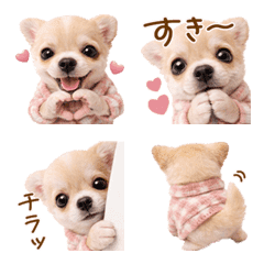 Chihuahua affection emoji