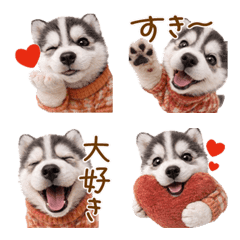 Siberian Husky affection emoji