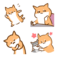 Shiba Inu M's Best Life. Part 2