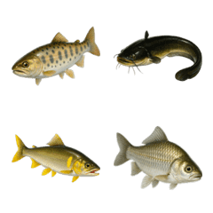 Fish emoji ! Fish mania.(nameless)